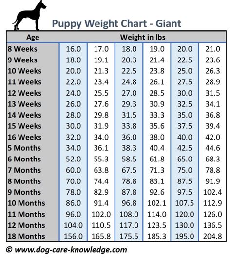 Pitbull Weight Chart By Age - contoh banner dimsum