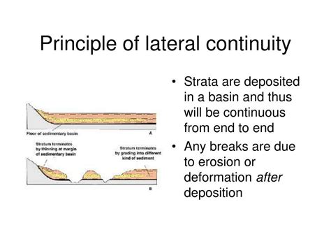 Principle Of Lateral Continuity - slidesharetrick