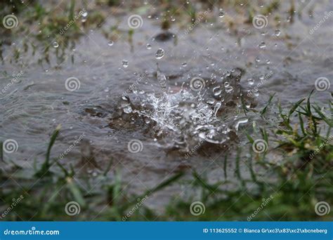 Splashing Rain in the Puddle Stock Photo - Image of circle, floor: 113625552