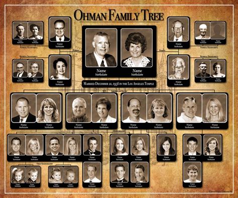 Family tree project, Family tree genealogy, Family tree