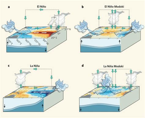 4 Schematic illustrations of conventional El Niño and La Niña and El ...