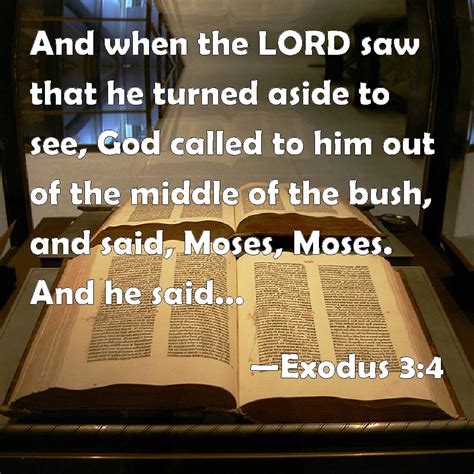 Exodus 3:4 And when the LORD saw that he turned aside to see, God ...