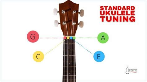 Ukulele Strings And How To Tune Them - Guitar Tuner - Guitar Tunio