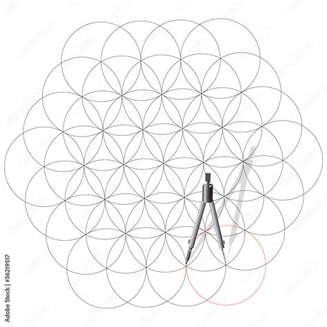 Drawing compass draw a circles. Stock Vector | Adobe Stock