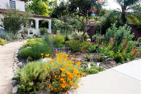 Beyond succulents: 10 favorite native plants from a California garden ...