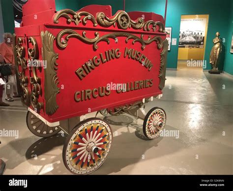 Circus wagon at the Ringling Museum, Sarasota, FL Stock Photo - Alamy