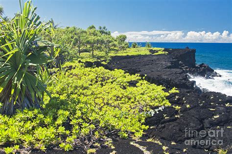 Kahanu Garden Photograph by Sharon Mau