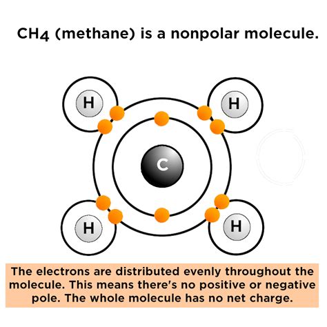 Polar vs. Nonpolar Bonds — Overview & Examples - Expii