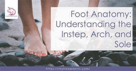 Foot Anatomy: Understanding the Instep, Arch, and Sole