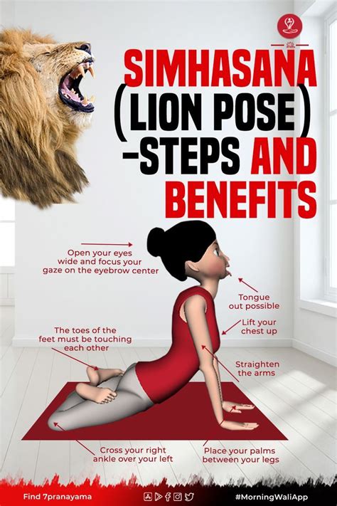 Simhasana lion pose steps and benefits – Artofit