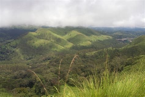 Temperate Grassland Climate Graph