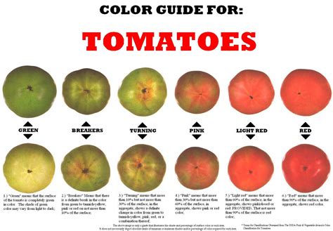 Color Guide for Tomatoes