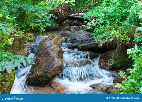 A Small River in a Dense Green Forest Creates a Small Waterfall Stock Photo - Image of thick ...