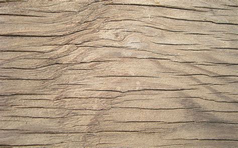 Light wooden texture, macro, wooden backgrounds, wooden textures, light ...