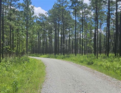 Southwest Croatan National Forest Loop, North Carolina : Off-Road Trail Map & Photos | onX Offroad