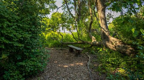 Cape May Bird Observatory in Cape May Point | Expedia.ca