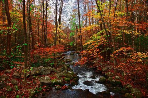 Autumn in Tennessee, Fall Creek, Great Smoky Mountains Great Smoky ...