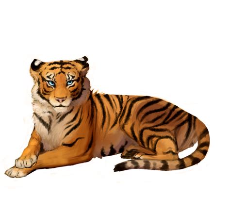 Clipart tiger realistic, Clipart tiger realistic Transparent FREE for download on WebStockReview ...