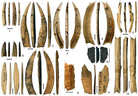 Cave Findings Revive Debate on Human Behavior - The New York Times