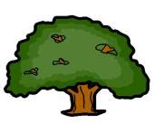 Hob Moor Oaks Academy » Oak Trees