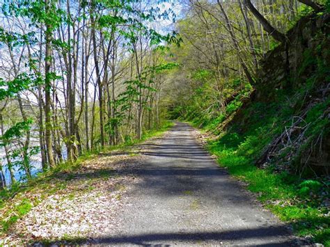 New River Trail ride, Galax, VA | River trail, New river, Virginia vacation