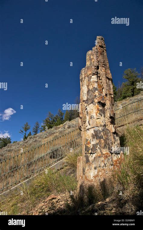 Tower roosevelt hi-res stock photography and images - Alamy