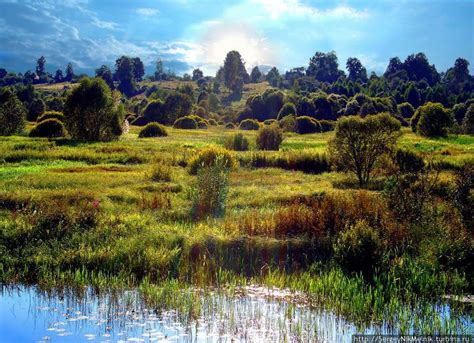 Belarusian landscape by Sergey Melnik | Amazing nature, Landscape ...