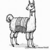 Llama Coloring Pages  Free & Printable sketch template