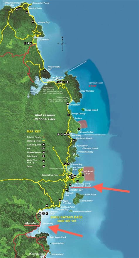 Kayaking vs. Hiking Abel Tasman National Park