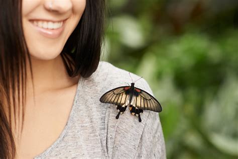 Happiness Is A Butterfly Sitting Softly On Your Shoulder Stock Photo ...