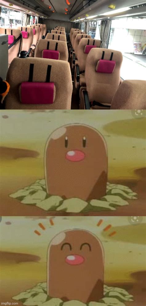 Pokemon_stream diglett Memes & GIFs - Imgflip