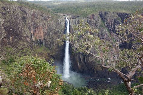 Wallaman Falls: All You Need to Know About Australia's Highest Waterfall