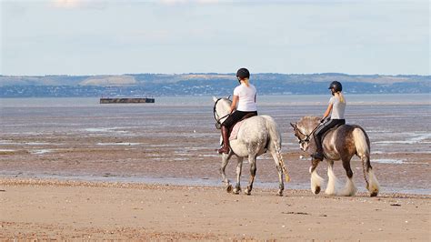 Horse riding on the beach: all you need to know