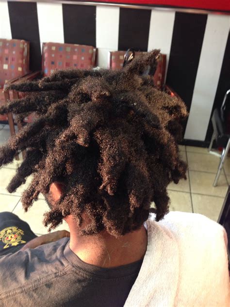 Freeform locs | Beautiful dreadlocks, Black natural hairstyles, Dreadlock rasta