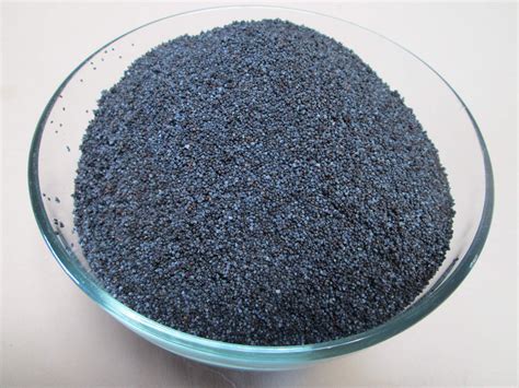 Natural Raw Blue Poppy Seeds, 1 lb — Fruits Star