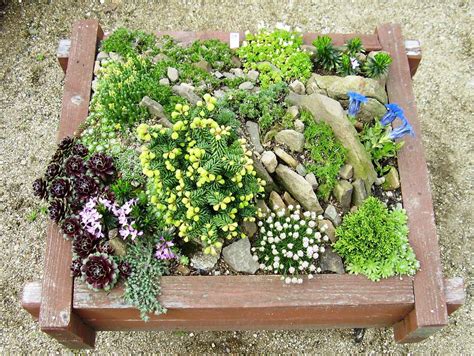 gardenless gardener: rock garden ideas