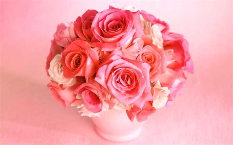 Pink Roses - Flowers Wallpaper (33341005) - Fanpop