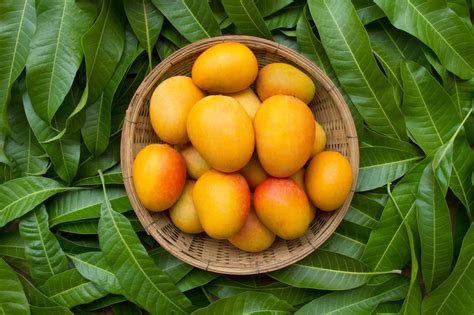 Is Mango Good For Weight Loss? Debunking Common Misconceptions - Blog - HealthifyMe