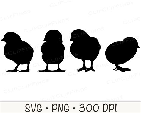 Baby Chick Silhouette SVG Vector Cut File and PNG Transparent - Etsy