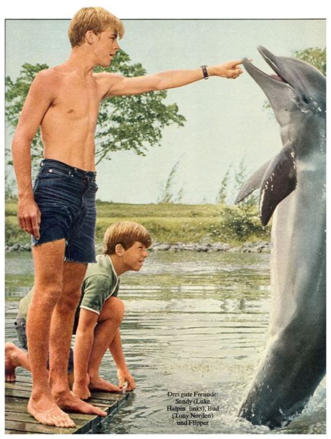 Pin by Tim Cameresi on Channel Surfing | Old tv shows, Flipper, Luke