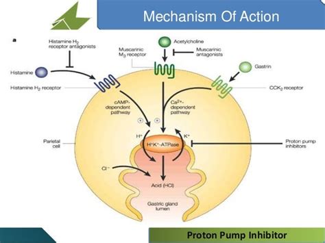 Proton pump inhibitor