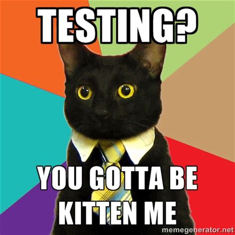 Test cat : Testerspace