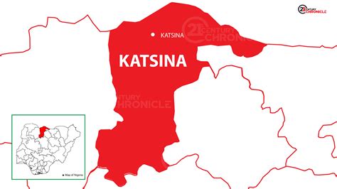 Stop the killings in Katsina - Daily Trust