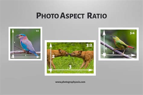 Aspect Ratio- Which is Best For Your Images? - PhotographyAxis