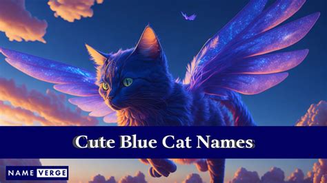 Blue Cat Names: 474+ Cool Names For Russian Blue Cats