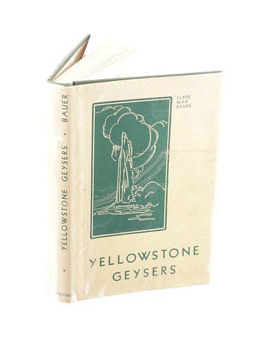 Yellowstone Geysers by Clyde Bauer & Jack Haynes for sale at auction ...