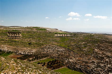 Israel Landscape - IMB