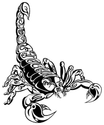 Scorpion Tattoos Transparent | PNG All