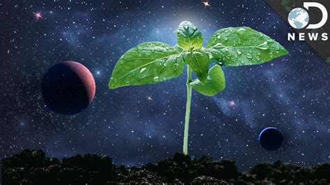 How Astronauts Grow Plants In Space - YouTube