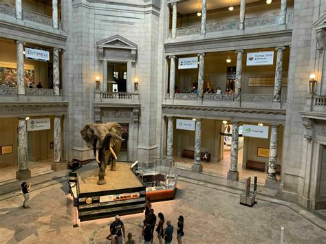 Smithsonian’s natural history museum reopens Friday - WTOP News